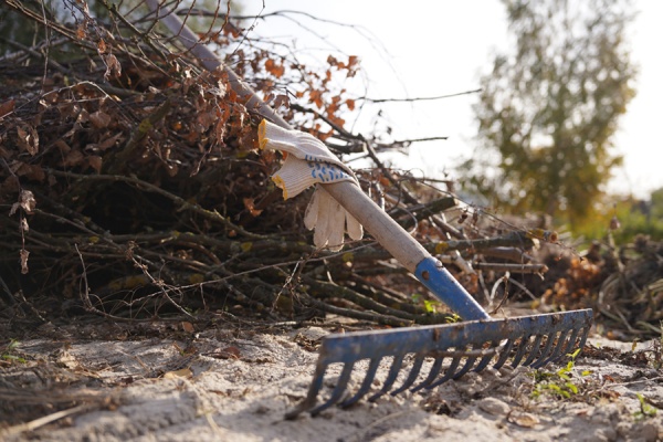 В Рязани прошел заключительный осенний субботник