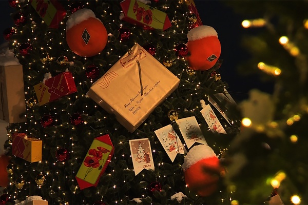 Первую новогоднюю ель установили в Рязани