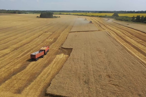 В Рязанской области собрано более 3 млн тонн зерна