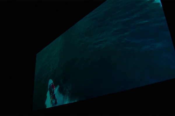 В Рязани стартовал фестиваль Китайского кино