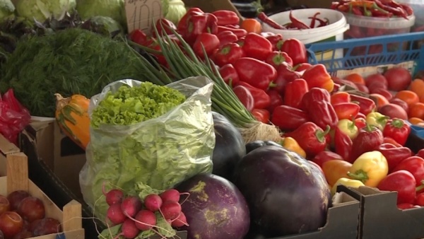 В Рязанской области выросло производство тепличных овощей