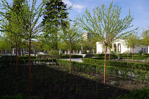 В Рязани завершилась осенняя кампания по озеленению