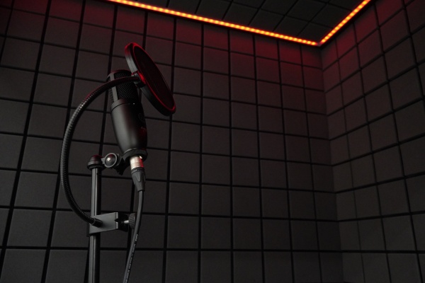 Рязанка Виктория Захарова вышла в финал шоу «Голос. Дети»