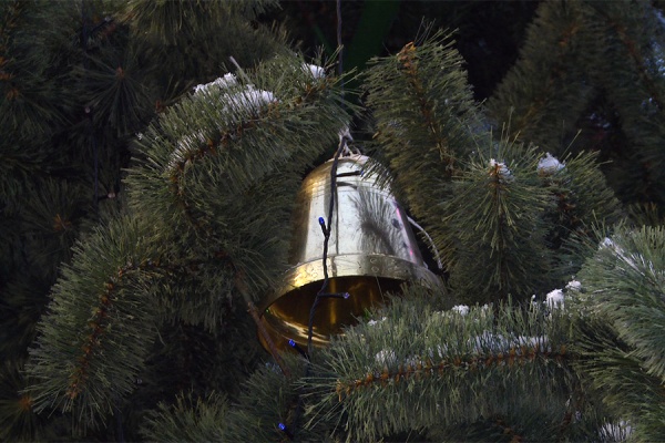 Игрушки, сделанные детьми, украсят елки Рязани