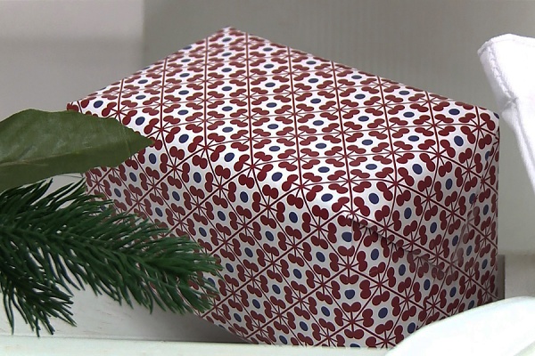 Павел Малков исполнит мечту юной рязанки