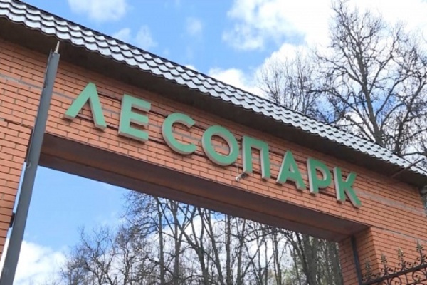 Рязанцев зовут участвовать в трезвом забеге