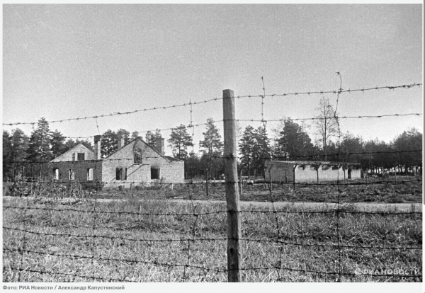 Историк рассказал, что украинские добровольцы выступали палачами в Треблинке