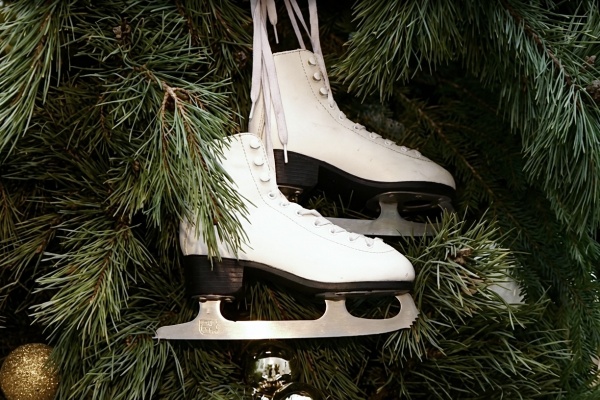 Каток на Рязанской ВДНХ закроется в марте