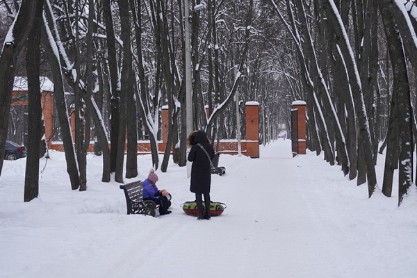 В Рязанской области проиндексировали региональный маткапитал