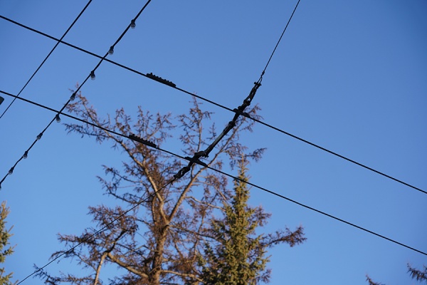 Троллейбусы №9, №10 и №16 вернулись на маршруты