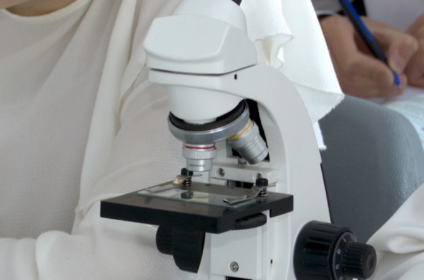 В рязанских школах открыто 720 профильных классов