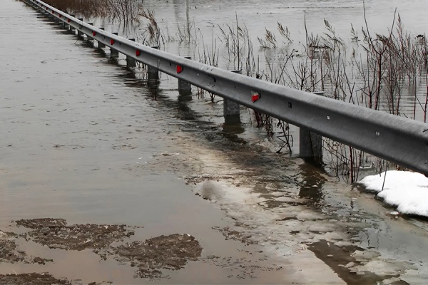 МЧС: в Скопинском округе подтоплен низководный мост