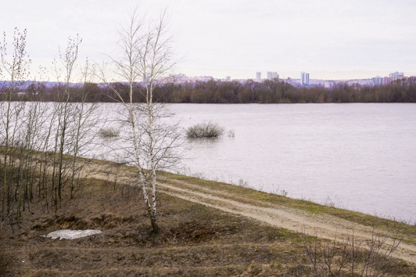 В Оке у Рязани вода поднялась еще на 16 сантиметров