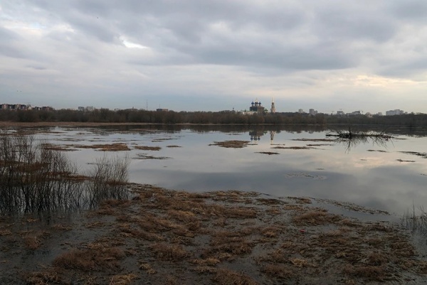 В регионе затопило два моста и одну дорогу