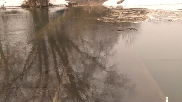 Уровень воды в Оке поднялся до 331 сантиметра