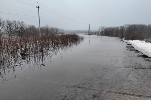 В Рязанской области подтоплено 19 мостов и 150 приусадебных участков