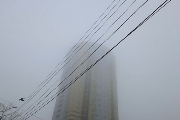 МЧС предупредило о тумане