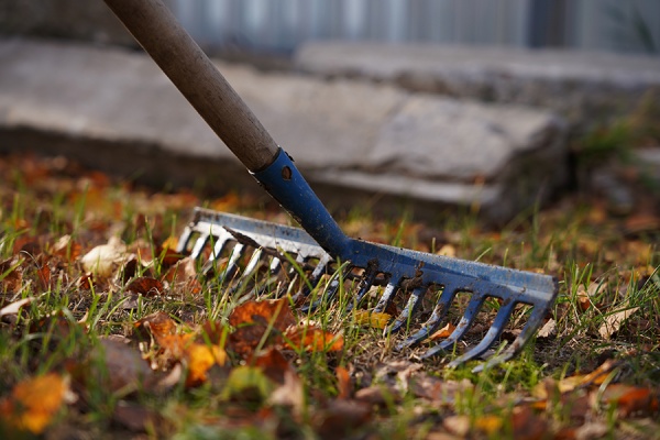 Рязанцев зовут на первый весенний субботник