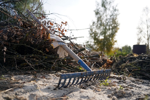 В Рязани запущена интерактивная карта субботников