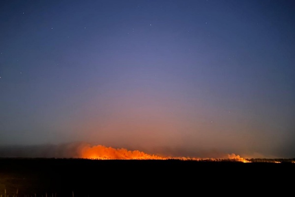 В регионе начали фиксировать первые палы травы