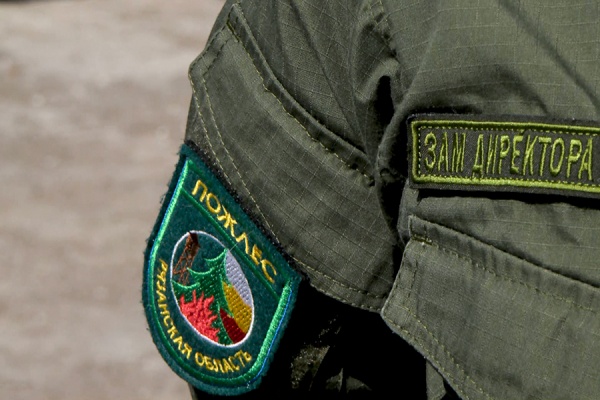 Рязанские огнеборцы ликвидировали 3 лесных пожара за неделю