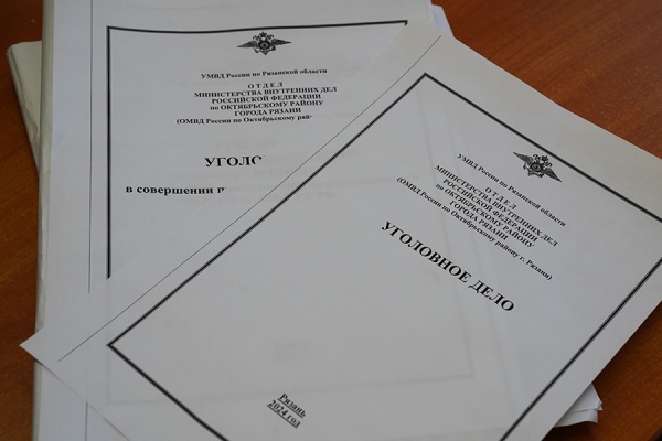 Рязанец может оказаться в тюрьме за незаконное хранение оружия