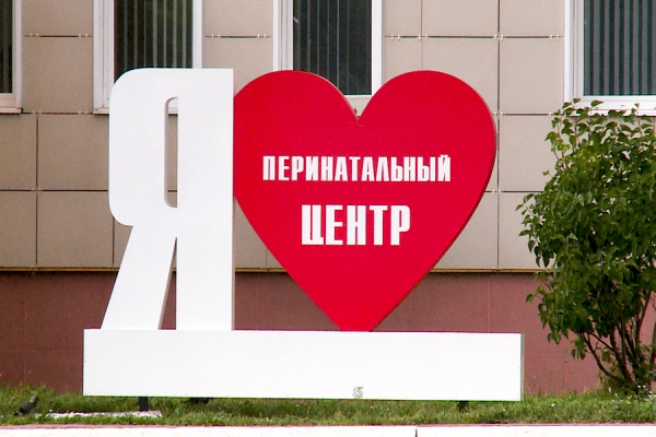 В Рязани за полгода родилось 36 пар близнецов