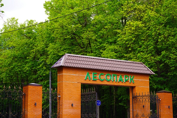 В лесопарке благоустраивают экотропу
