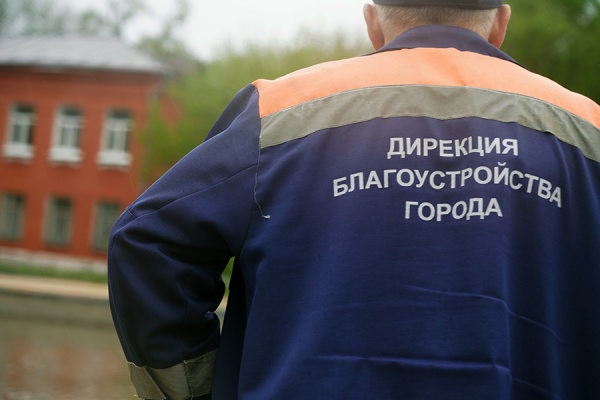 Севастопольскую аллею превратят в комфортную зону отдыха