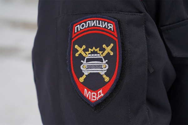 Два вора обокрали по очереди супермаркет в Рязани