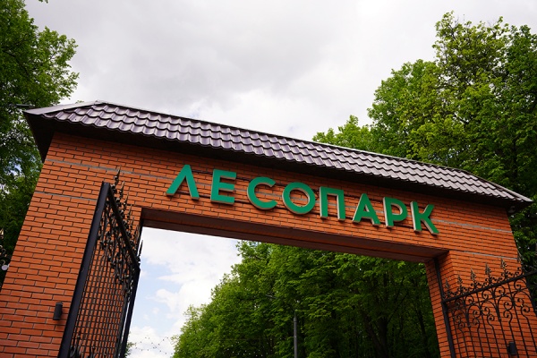 Рязанцев научат ковать ложки на мастер-классе в Лесопарке