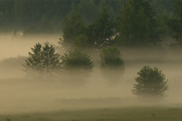 МЧС предупредило о сложных погодных условиях
