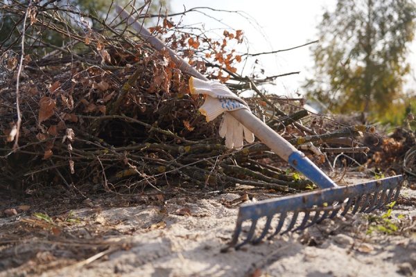 Волонтеры очистили более 70 км берегов рязанских рек и озер