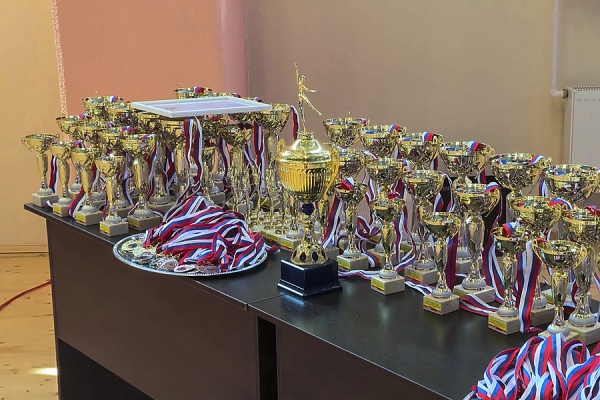 Рязанские тхэквондисты взяли медали на всероссийском турнире