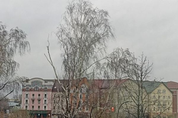 МЧС призвало рязанцев к осторожности