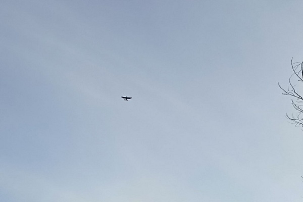 Ночью над Рязанской областью сбили 11 беспилотников