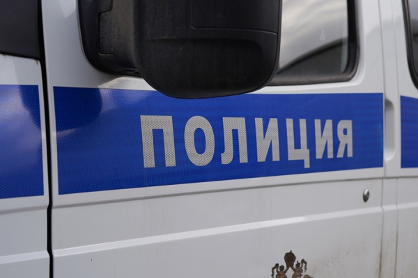 В Рязанском районе похитили новогодние подарки