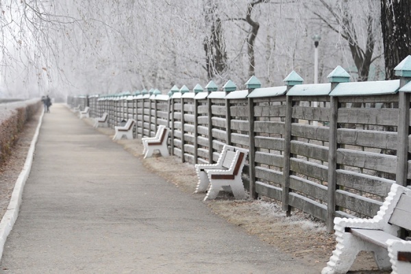 15 декабря в регионе ожидается морозный день