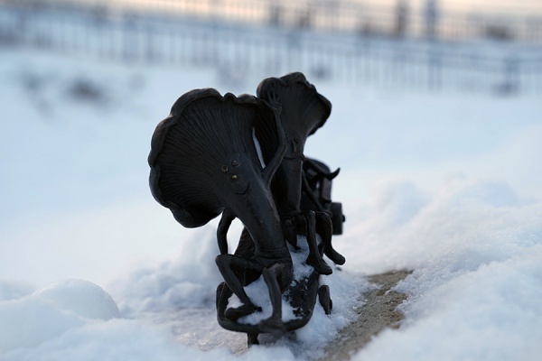 В Рязанской области резко похолодает