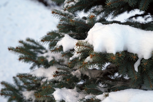 Рязанскую область накроет мощный снегопад