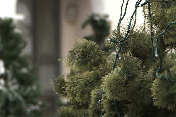 Юные рязанцы стали гостями Кремлёвской ёлки в Москве