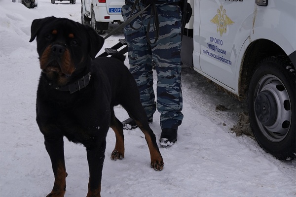 В Касимовском районе ликвидировали нарколабораторию