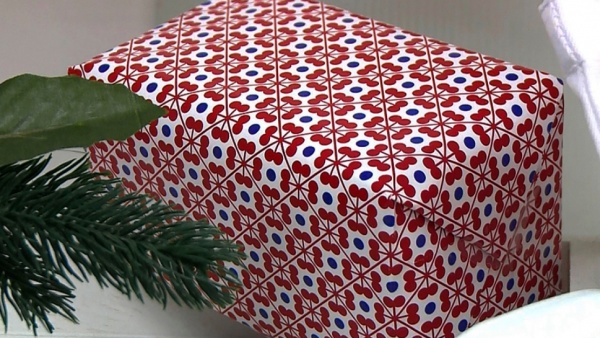 Павел Малков вручил детям подарки с «Ёлки желаний»