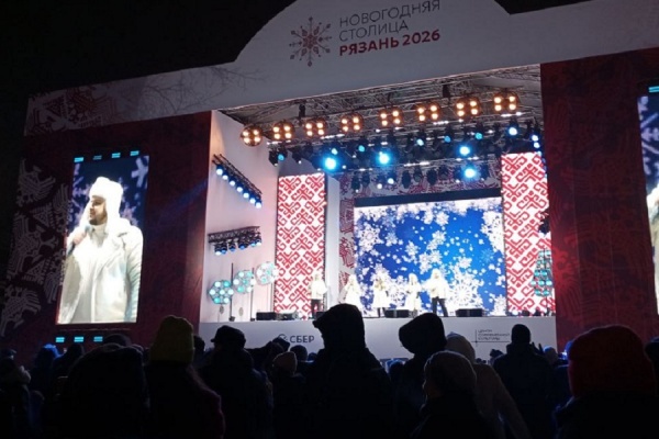 На Лыбедском бульваре прошел большой праздник в честь Нового года