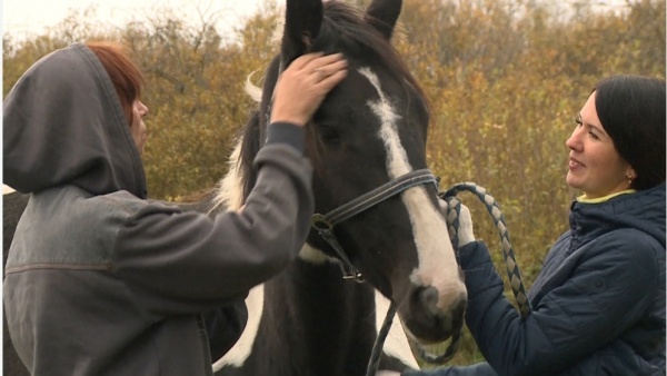 На конном заводе родился первый жеребёнок 2026 года
