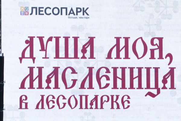 Рязанский Лесопарк проводил зиму масленичным разгуляем