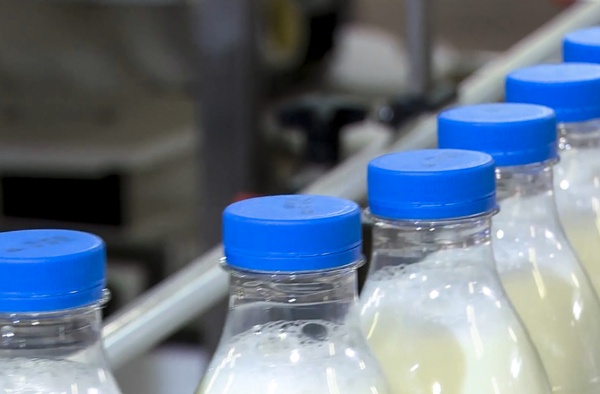 В Рязанской области появится новый молочный завод