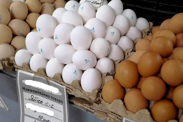 Производство яиц в Рязанской области планируют увеличить вдвое