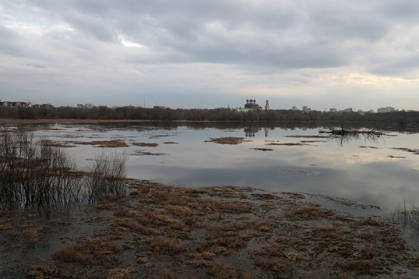 Уровень воды в Оке у Рязани за сутки подскочил на 26 сантиметров