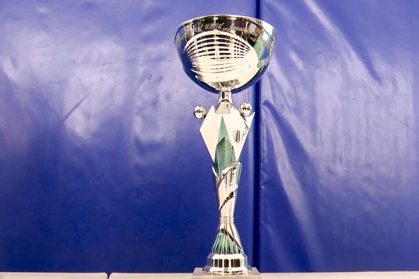 Рязанские спортсмены завоевали награды на международных турнирах